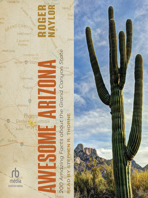 cover image of Awesome Arizona